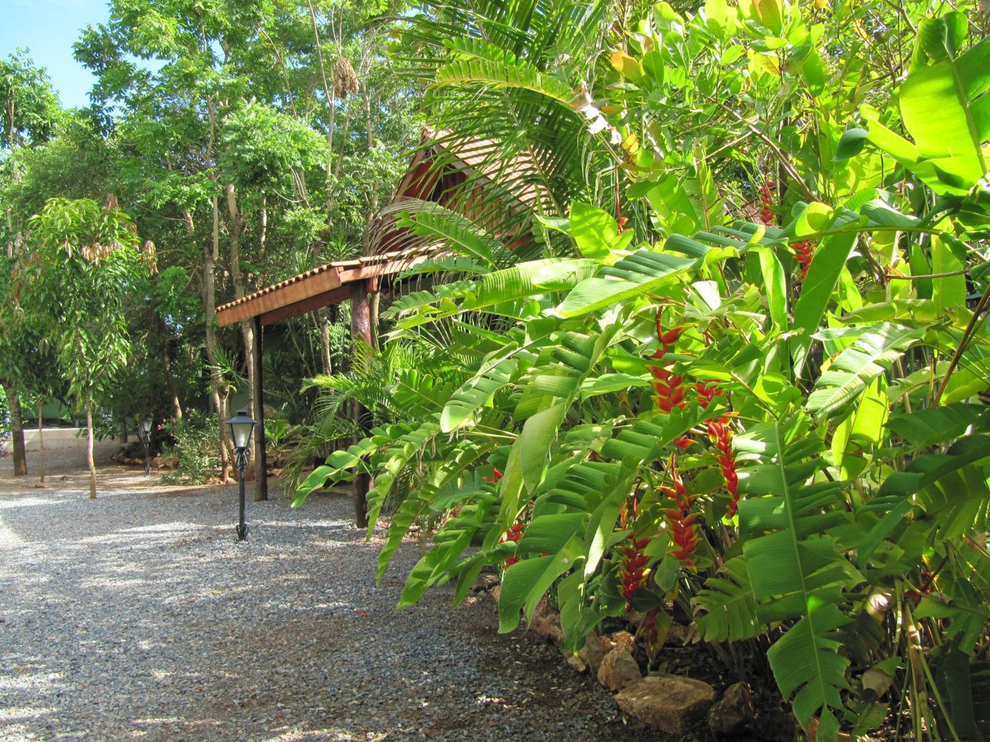 בוניטו Eco Pousada Villa Verde מראה חיצוני תמונה