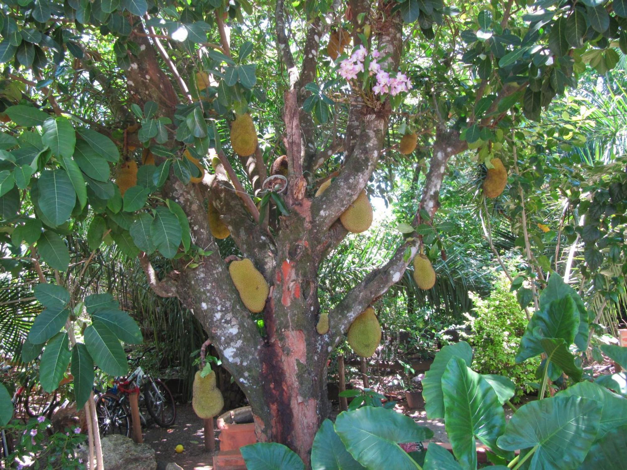 בוניטו Eco Pousada Villa Verde מראה חיצוני תמונה