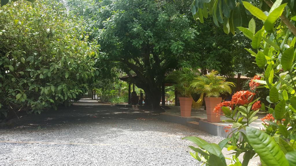 בוניטו Eco Pousada Villa Verde מראה חיצוני תמונה